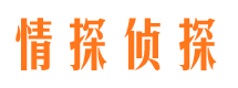 湖南侦探公司